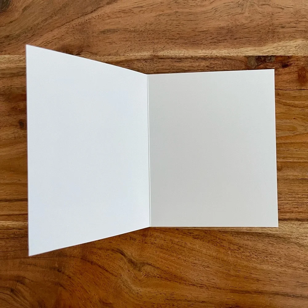 Set of 17 Vintage Photography Notecards with Envelopes Retro Art Stationery